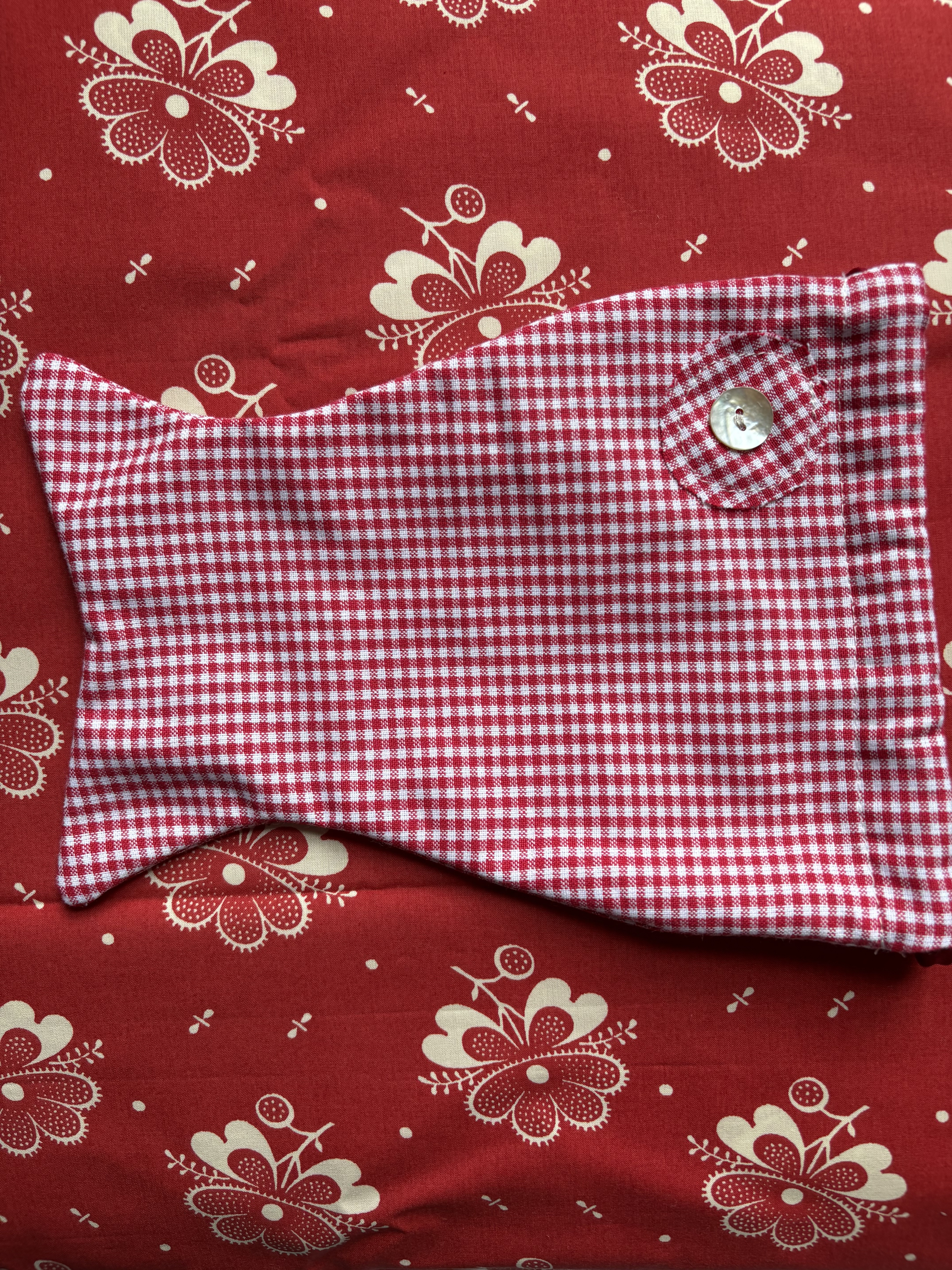 Baby Fish Bag in Red Gingham