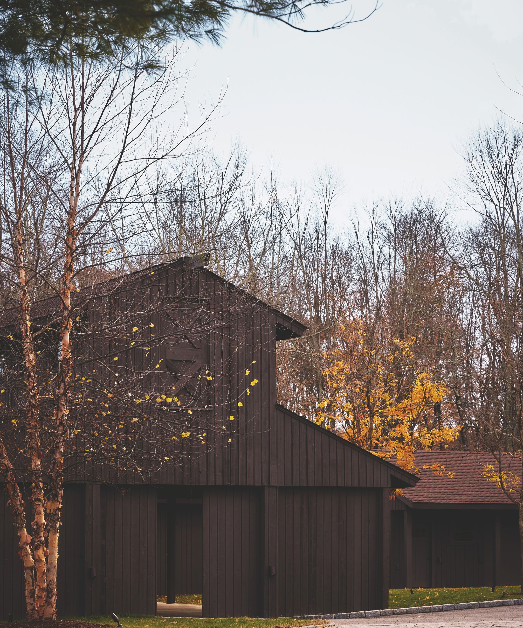 Exterior of a dark brown wooden barn-style building surrounded by autumn trees with golden leaves under an overcast sky.