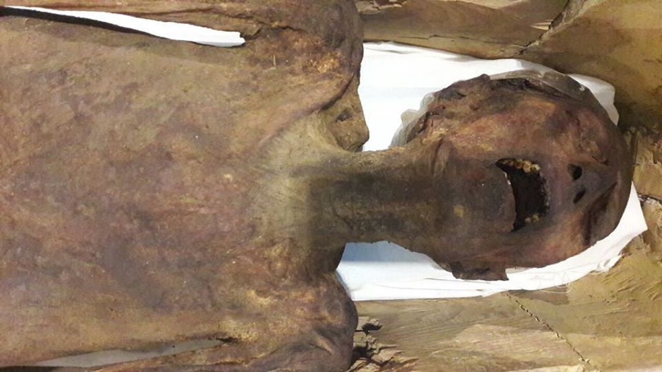 The &quot;screaming mummy,&quot; likely that of Prince Pentawere, a man who tried (likely successfully) to kill his own father pharaoh Ramesses III, is now on public display at the Egyptian Museum.