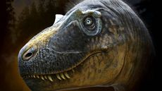 A reconstruction of what the new tyrannosaur, Daspletosaurus wilsoni, may have looked like.
