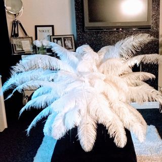 white feather lamp