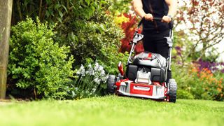 A petrol lawn mower being used to cut grass