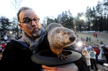 Groundhog handler Ben Hughes watches Punxsutawney Phil after he did not see his shadow, suggesting an early spring during Groundhog Day festivities on Feb. 2, 2011, in Punxsutawney, Pennsylvania.