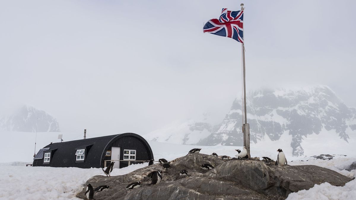 A hut at Port Lockroy British Antarctic Survey base with penguins and a union flag in the foreground