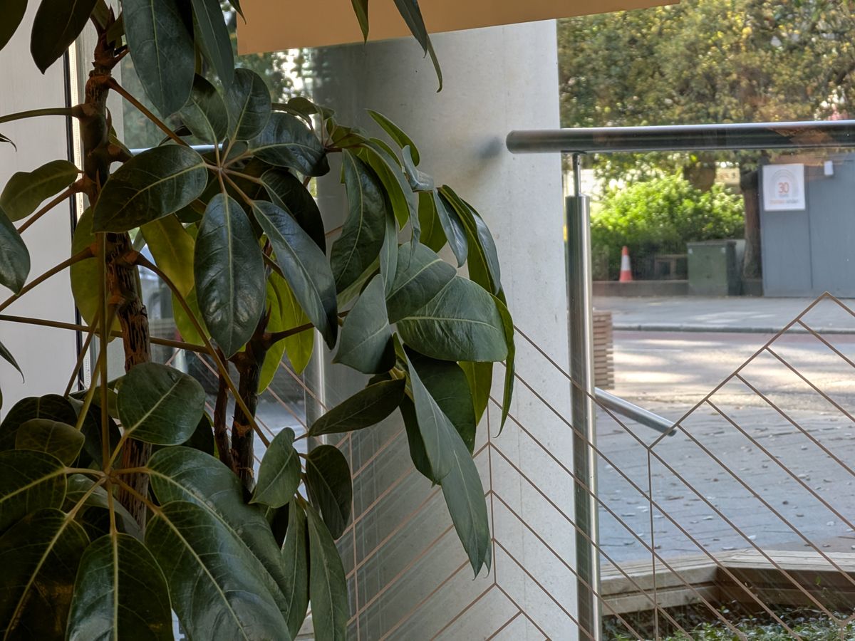 A photo captured on the Google Pixel 9 Pro Fold