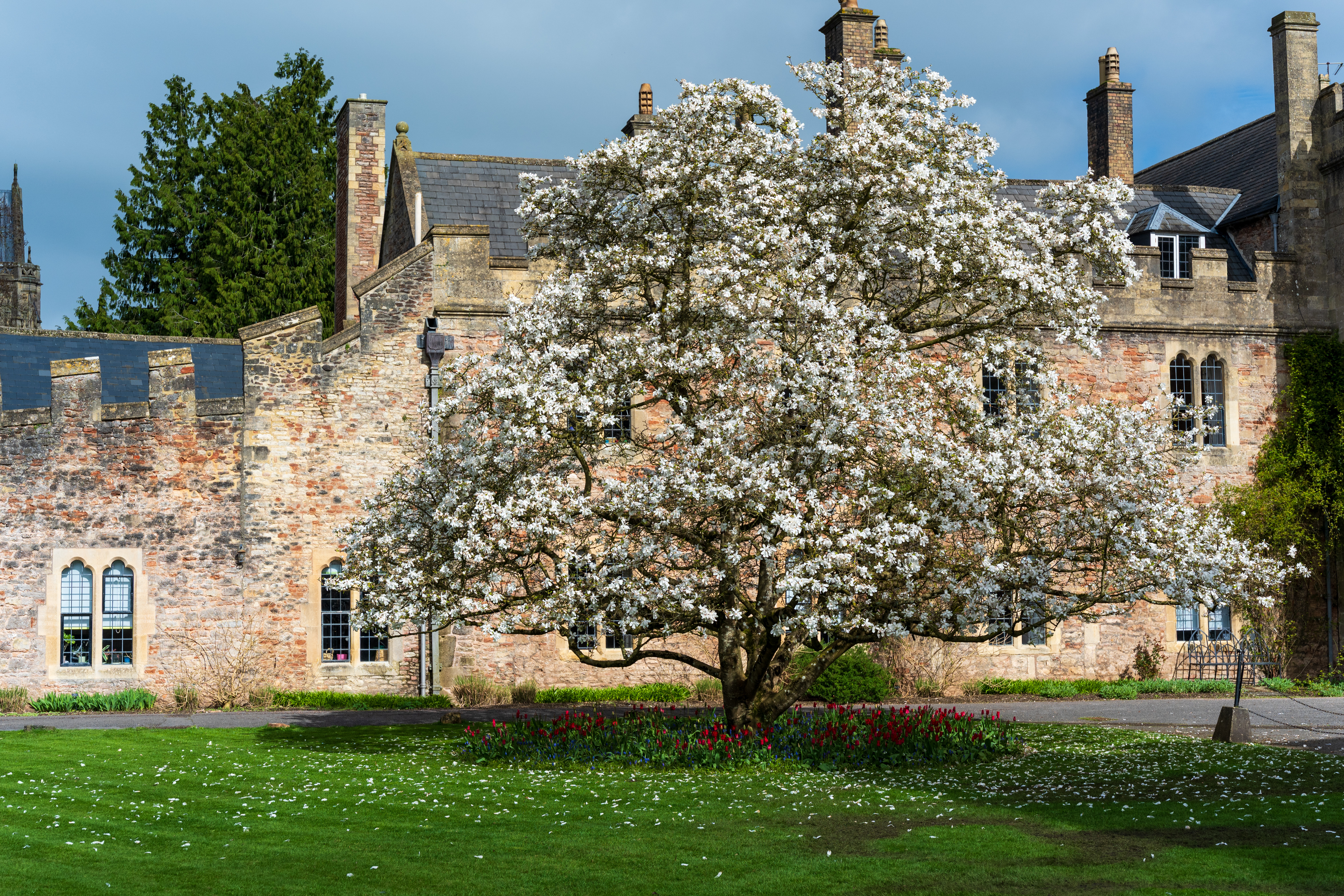 Viltrox AF 55mm f/1.8 Evo sample image