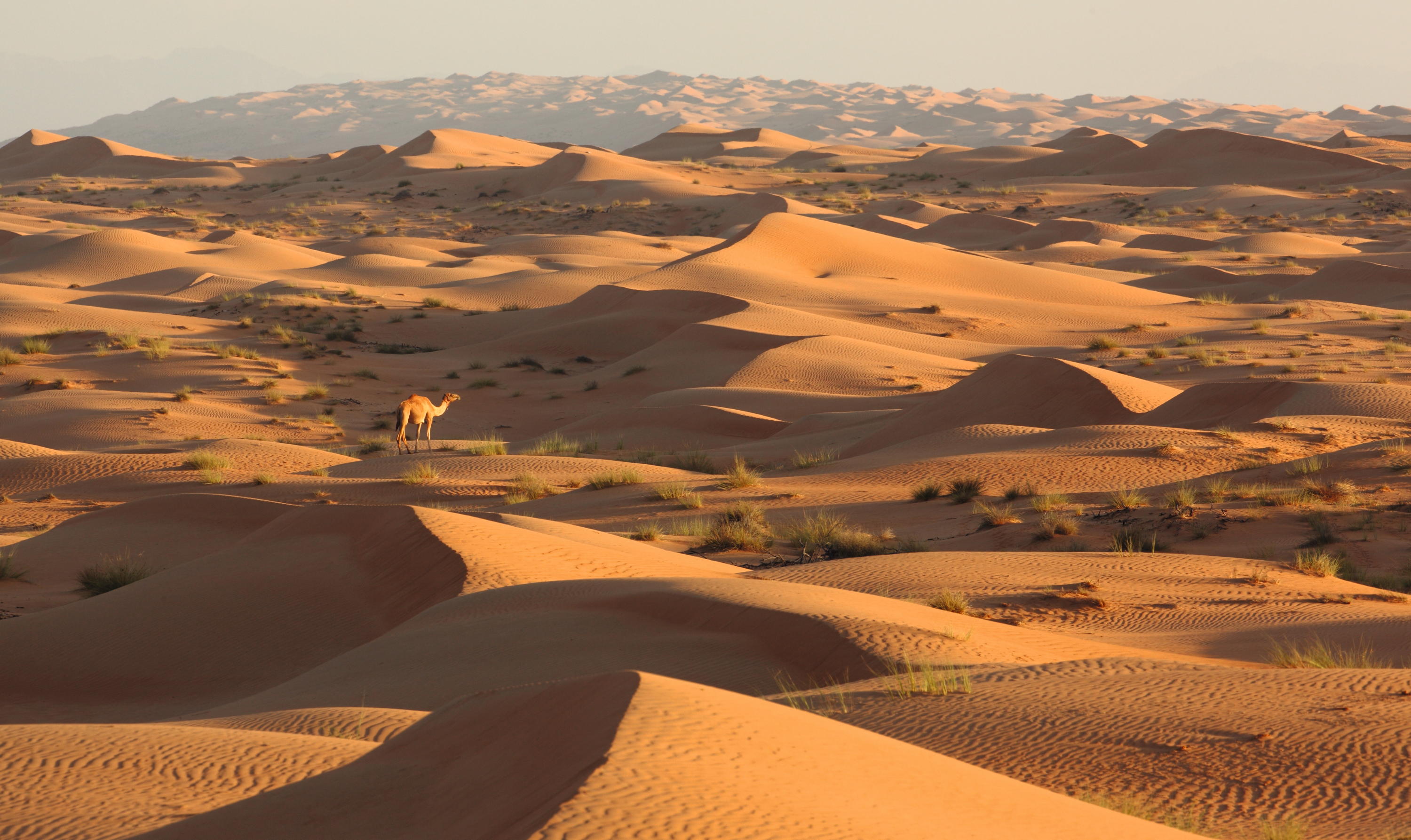 The Arabian Peninsula