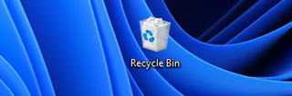 Windows 10 Recycle Bin icon in Windows 11