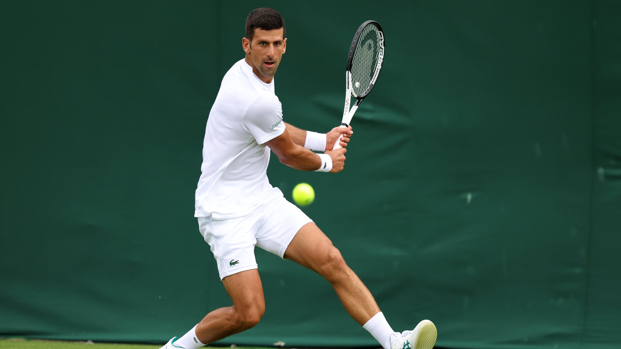 djokovic online tennis