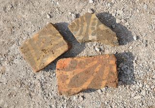 Inlaid floor tiles unearthed from the Greyfriars church site.