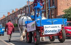 The horses and dray are being used to help clear student accommodation