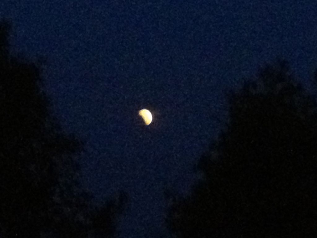 Partial Lunar Eclipse In Pictures: June 4, 2012 