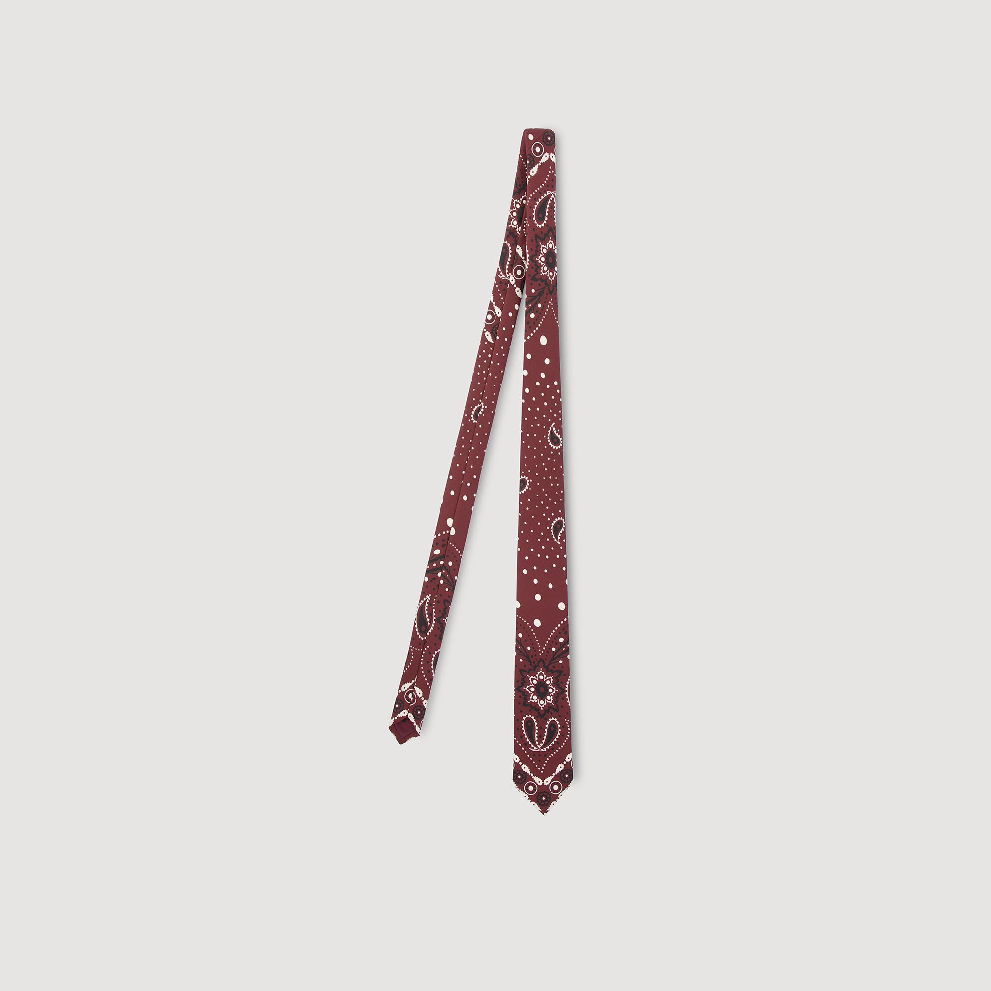 Silk Paisley Print Tie