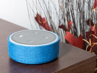 Echo Dot with cover
