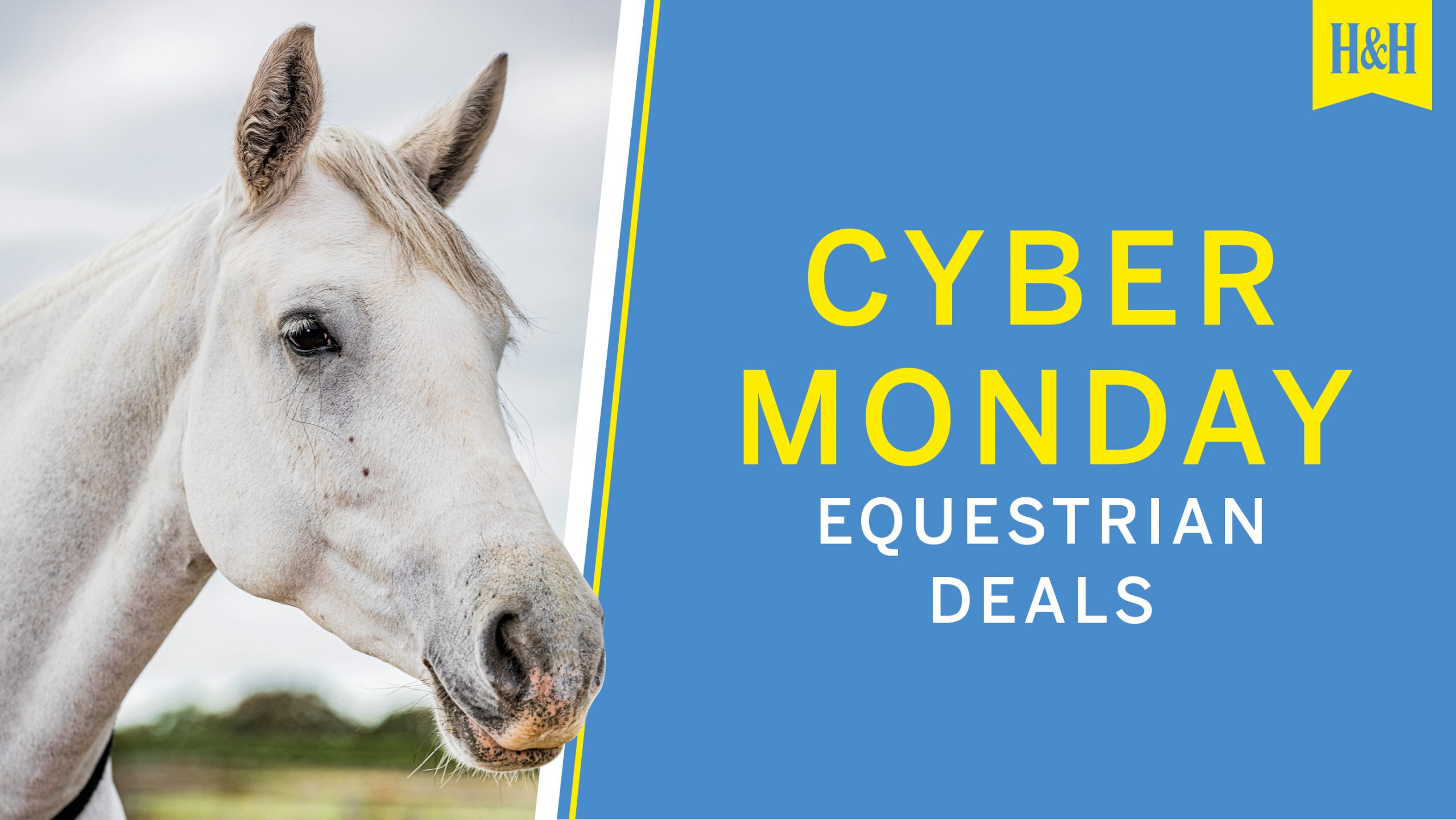 Cyber Monday equestrian deals graphic