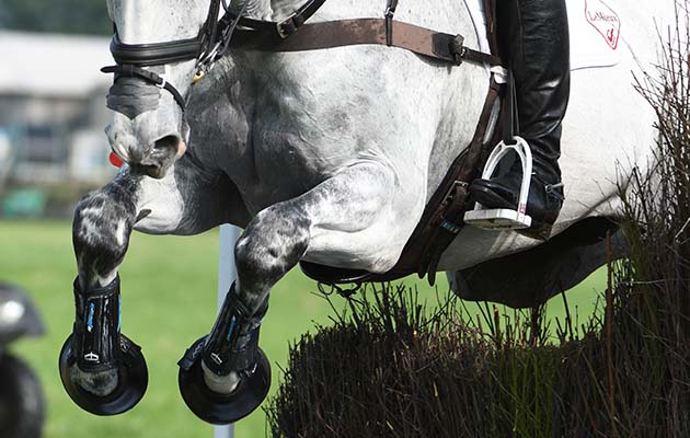 little downham bicton internationals