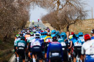 Vuelta a Andalucia Ruta Ciclista Del Sol 2023 - 69th Edition - 5th stage Otura - Alhaurin de la Torre 184,3 km - 19/02/2023 - Peloton - photo Luis Angel Gomez/SprintCyclingAgencyÂ©2023