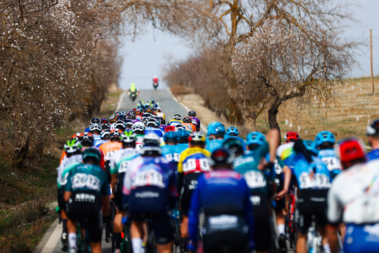 Vuelta a Andalucia Ruta Ciclista Del Sol 2023 - 69th Edition - 5th stage Otura - Alhaurin de la Torre 184,3 km - 19/02/2023 - Peloton - photo Luis Angel Gomez/SprintCyclingAgency©2023