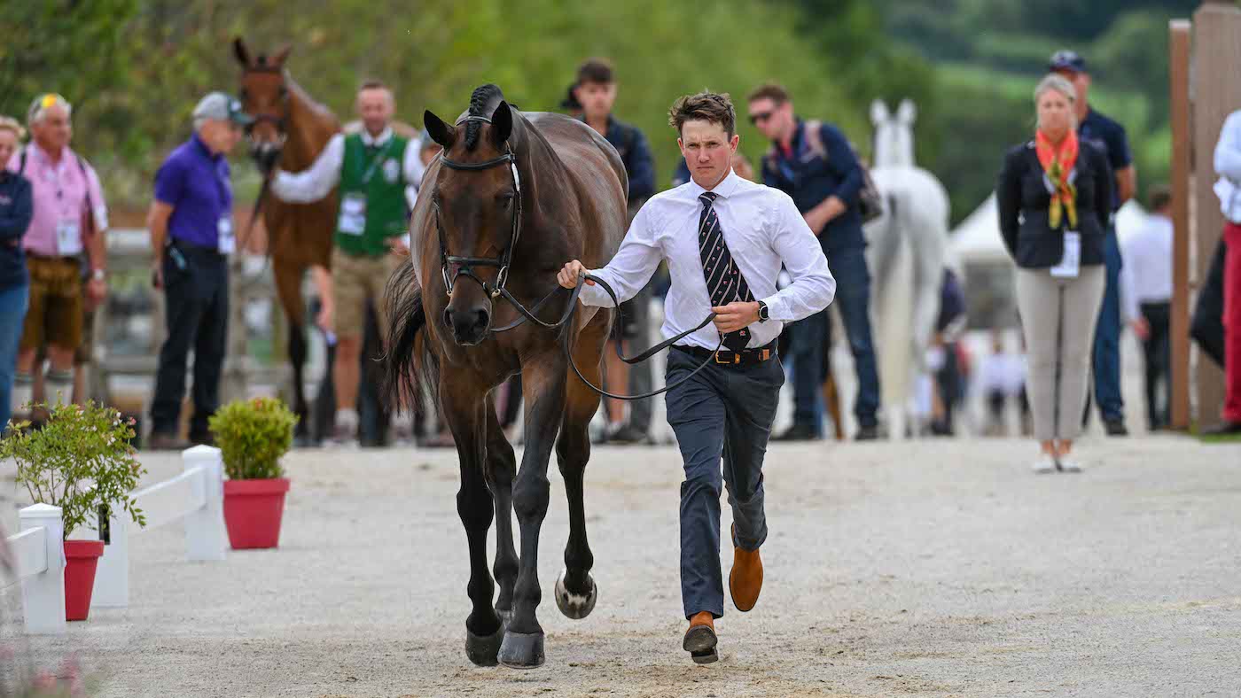 Tom McEwen and JL Dublin trot up before the European Eventing Championships Dressage