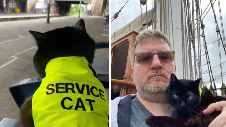 Cat owner enters court battle to have his service cat recognized as a support  animal | PetsRadar