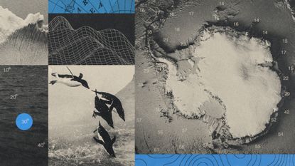 Photo composite illustration of topographic charts and maps of Antarctic geography and wildlife