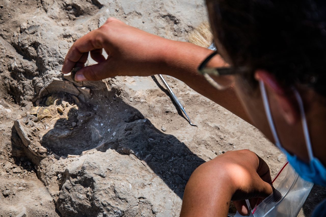 Liat Nadav-Ziv examines the jar and coins.