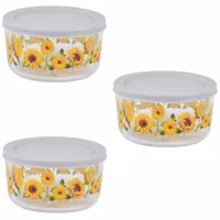 Temp-tations  Seasonal Set of (3) Borosilicate Glass Bowls