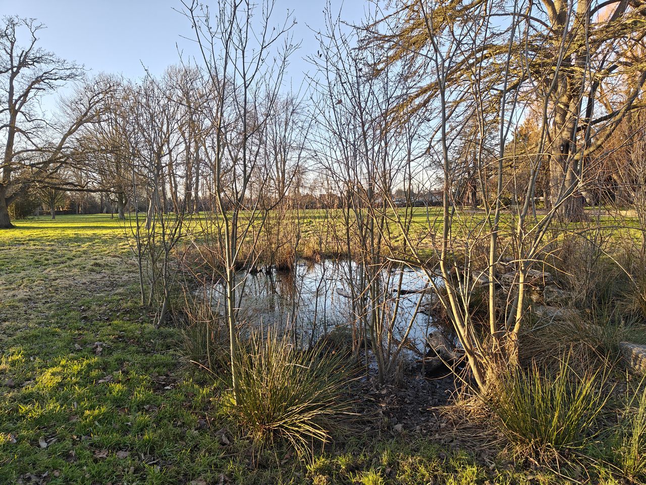 A photo taken on the OnePlus 11