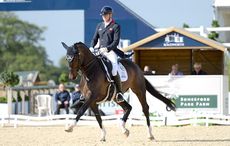 DON-CARISSIMO_Bolesworth_PN17_54831_98127621_193704041.jpg