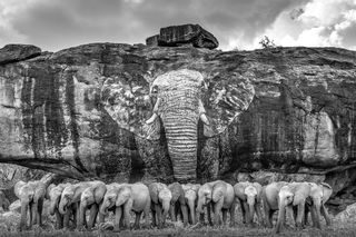 Benjamin Mkapa Africa Wildlife Photography Award 2022