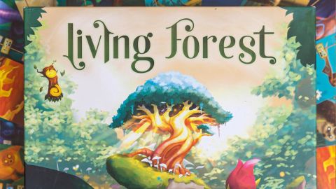 Living Forest box and cards