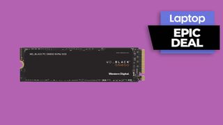 Western Digital WD_BLack SN850 NVMe SSD