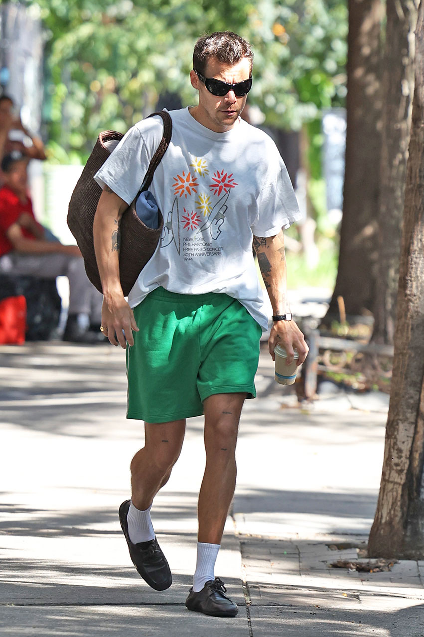 Harry Styles wearing a graphic t-shirt, green shorts, and brown boat shoes