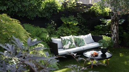 outdoor sofa and table beside silver birch tree in lush garden