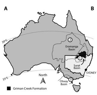 Researchers uncovered the fossil at the Griman Creek Formation in Australia.