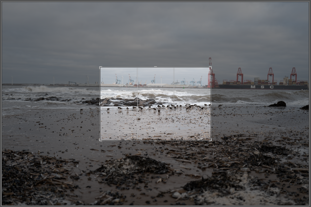 Screenshot of Lightroom photo editor showing an image being cropped to a smaller size