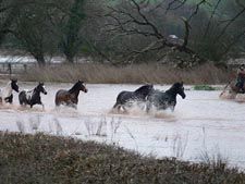 floodrescue1.jpg