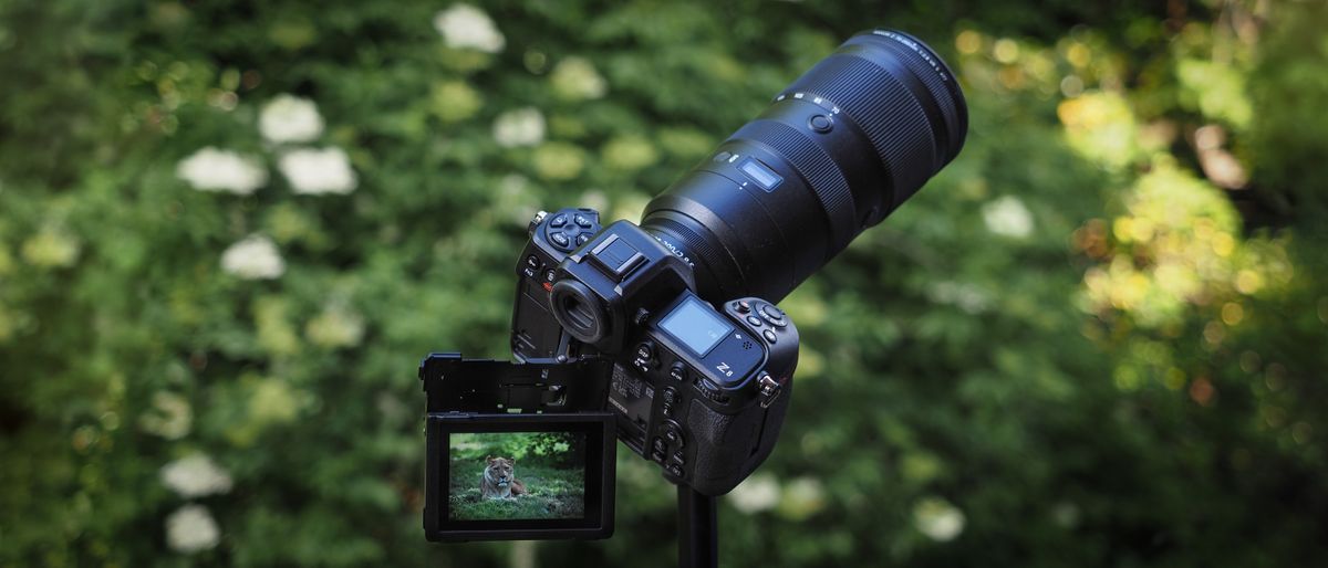 Nikon Z8 camera, pictured against a background of blurred green foliage