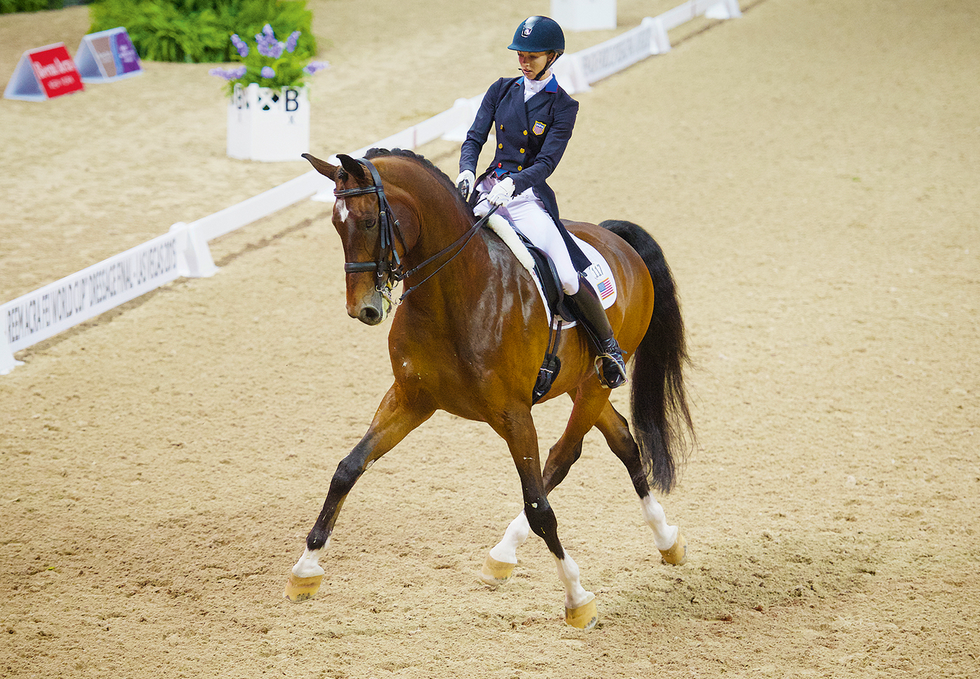 laura-graves-FEI-WC-2015-PM-1-1.jpg