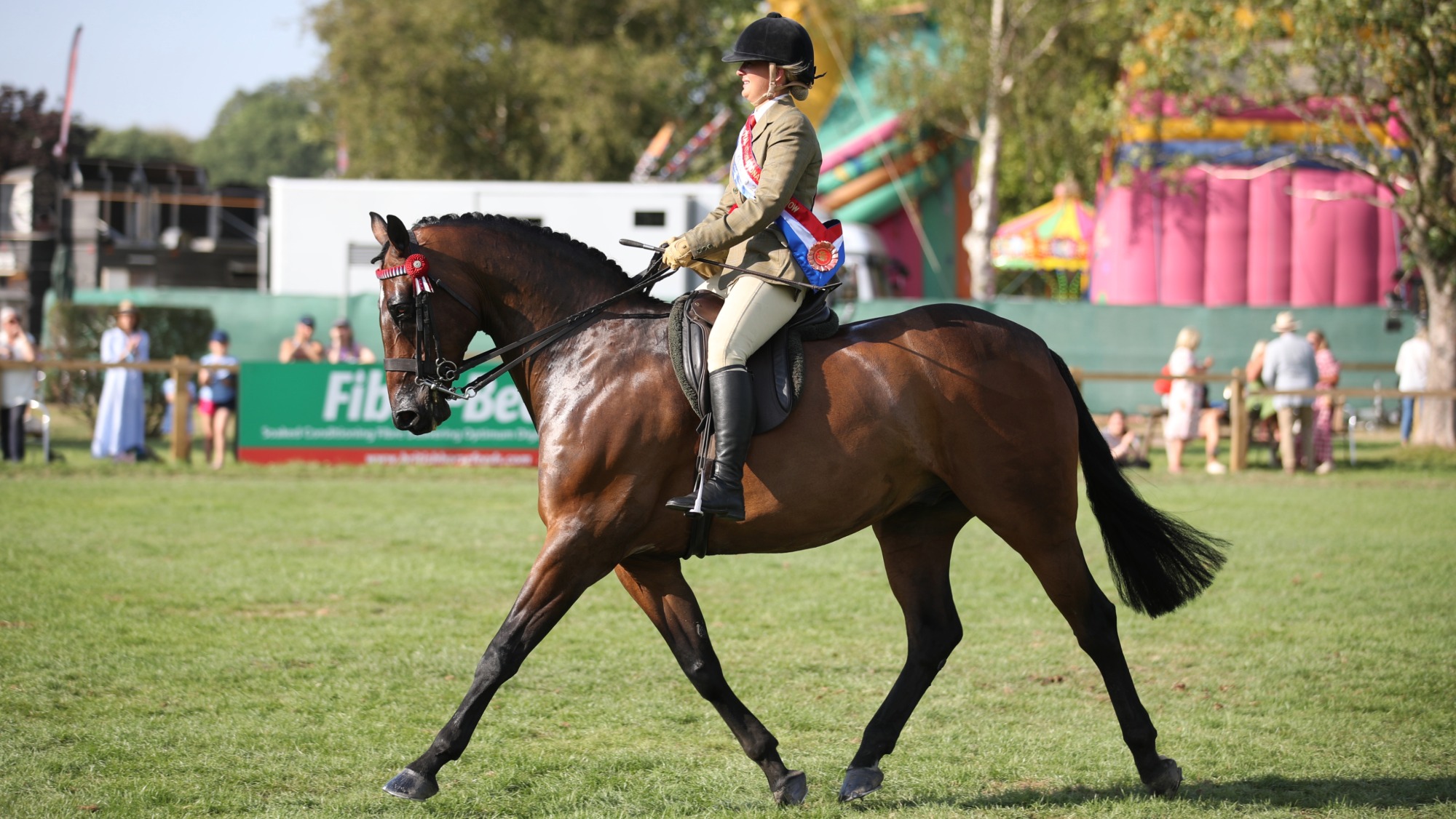 Bay intermediate/ riding horse Rosemore Midnight Rendezvous trots from the ring with Sophie O&rsquo;Keefe on board wearing a championship sash at the 2026 Royal International