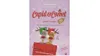 Rosewood Cupid and Comet Christmas Advent Treat Calendar for Cats