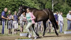 Luhm&uuml;hlen Horse Trials first trot-up: Alex Donohoe presenting Guidam Roller at the Luhm&uuml;hlen Horse Trials first trot-up