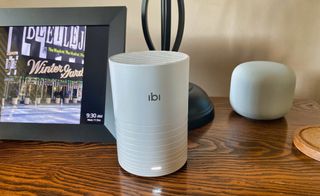 ibi photo and video manager review