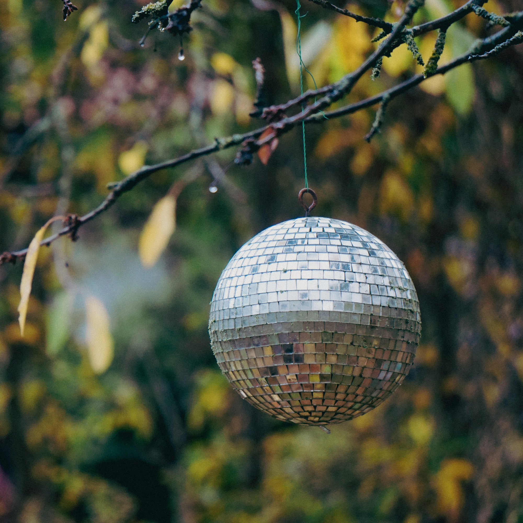 Disco ball hanging from tree.