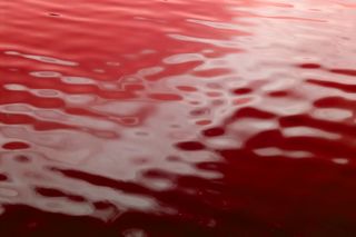 Chinese officials are investigating industrial dye and upstream silt as two possible sources for the Yangtze River&#039;s red coloring near the city of Chongqing.