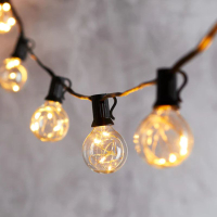 23.  Clear Globe Indoor/Outdoor Black String Lights Lights4fun: View at Lights4fun