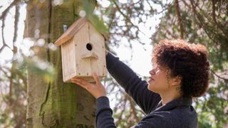 A lady hangs up her DIY bird house