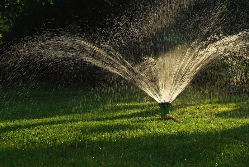 a sprinkler watering a lawn