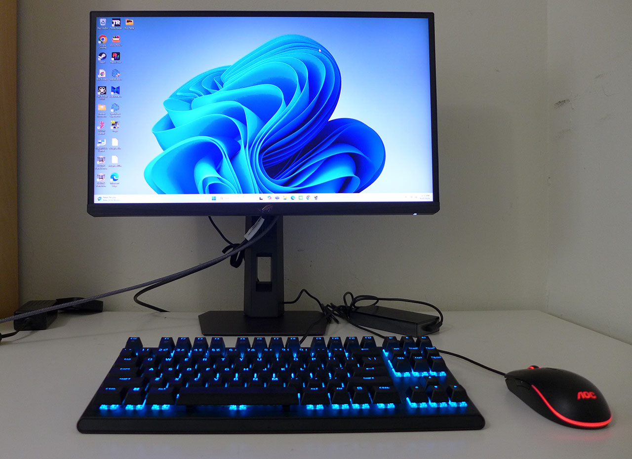 Asus XG248QSG