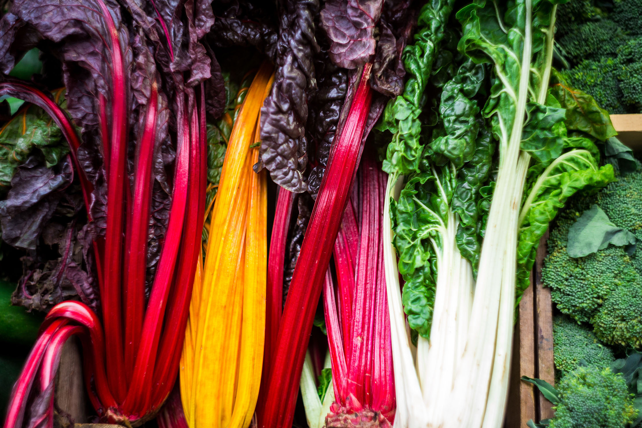 Rainbow Swiss Chard.